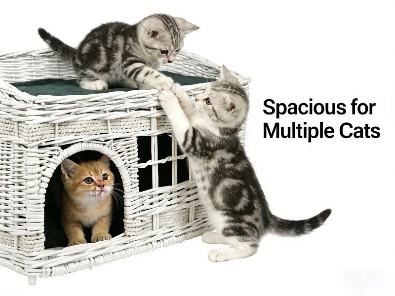 Natural Double-layer White Willow Cat Bed/pet Bed factory